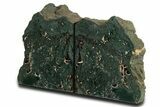 Green Jasper Replaced Petrified Wood Bookends - Oregon #338270-2